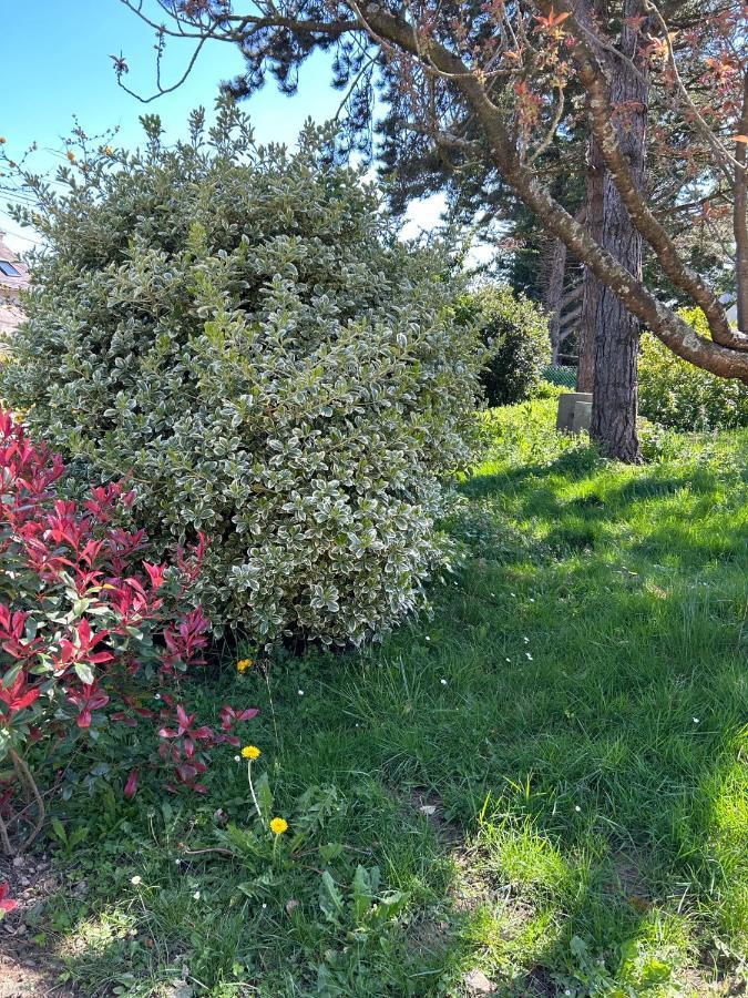 Arc En Ciel Du Mont Bed & Breakfast Pontorson Bagian luar foto