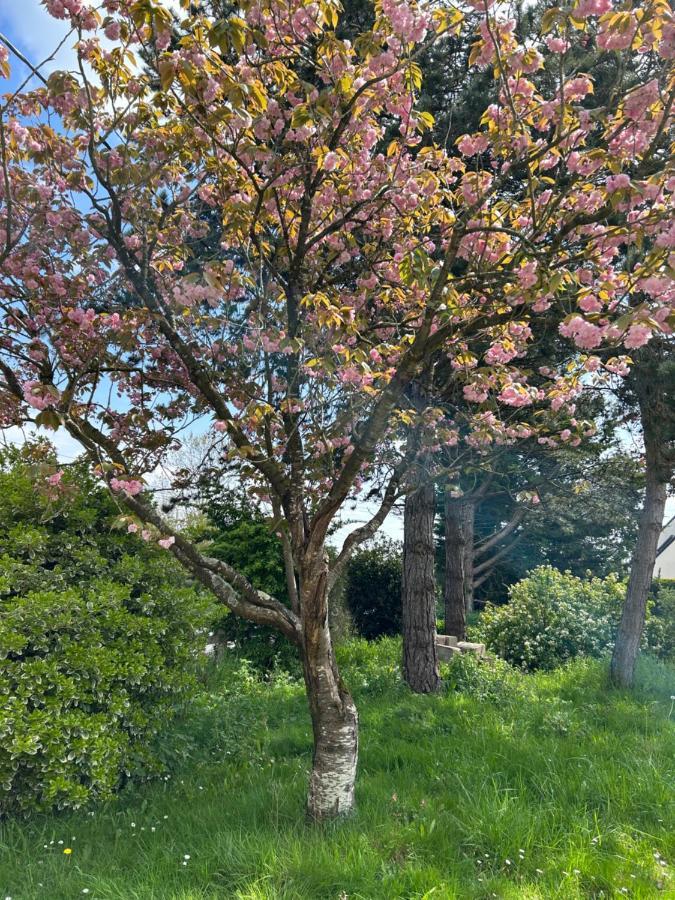 Arc En Ciel Du Mont Bed & Breakfast Pontorson Bagian luar foto