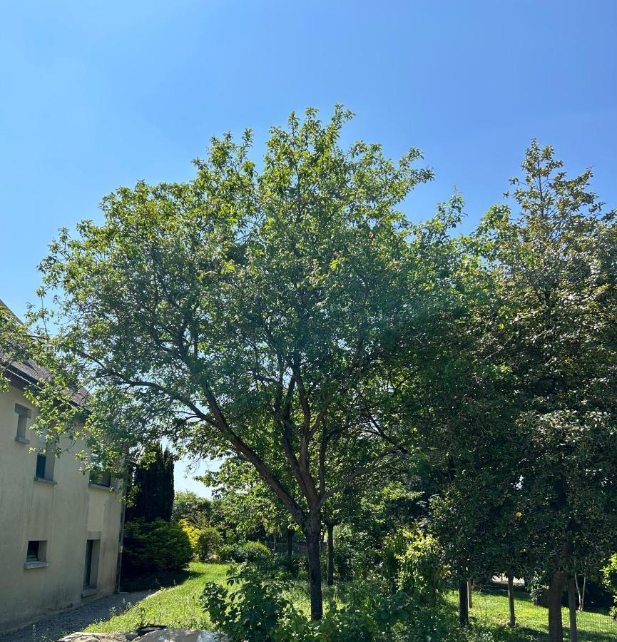 Arc En Ciel Du Mont Bed & Breakfast Pontorson Bagian luar foto